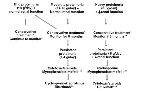 Idiopathic Membranous Nephropathy Management 4171 Words Essay Example