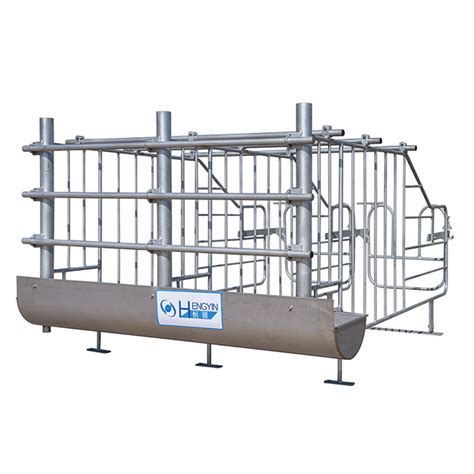 Pig Farm Equipment For Sows Cages Farrowing Pen Stall Gestation Crate