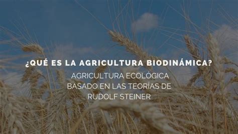 Qué Es La Agricultura Biodinámica