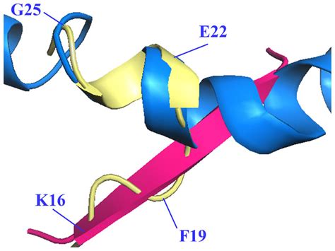 Different Conformations Of The Mid Region Of The Aβ Peptide Aβ