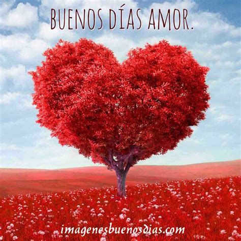 imágenes de buenos días amor » Imágenes Buenos Días