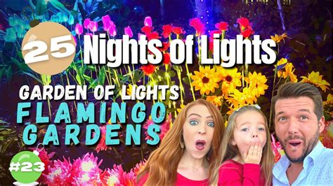 Garden Of Lights Flamingo Gardens Davie FL 25 Nights Of Lights