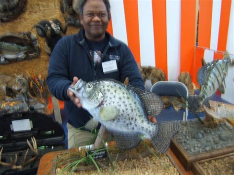 Record White Crappie Good Galleries