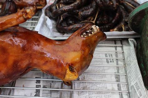 Dog meat in Vietnam (photos NSFW)