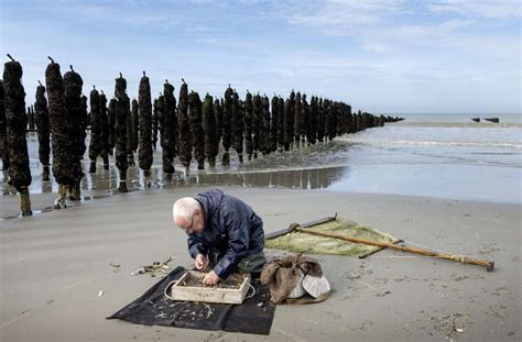 Im Muschelpark Der Somme Bucht