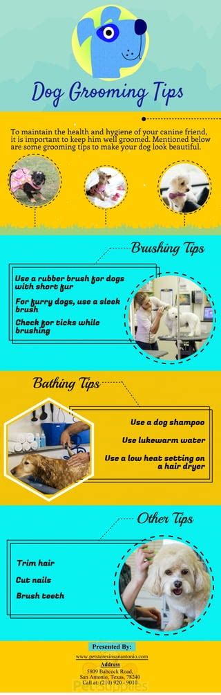 Dog Grooming Tips | PDF