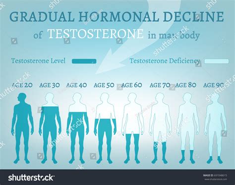 Testosterone Hormone Level Beautiful Medical Vector Stock Vector ...