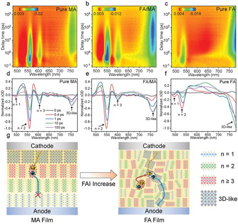 Ac Transient Absorption Ta Color Maps Of 2d Perovskite Films With Download Scientific