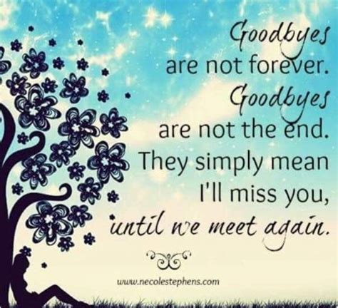 Goodbyes Are Not Forever Goodbyes Are Not Forever Ill Miss You