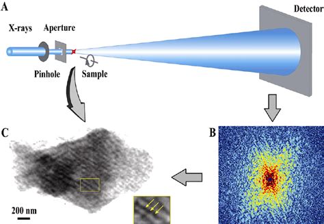 Diagram Of X Ray Diffraction