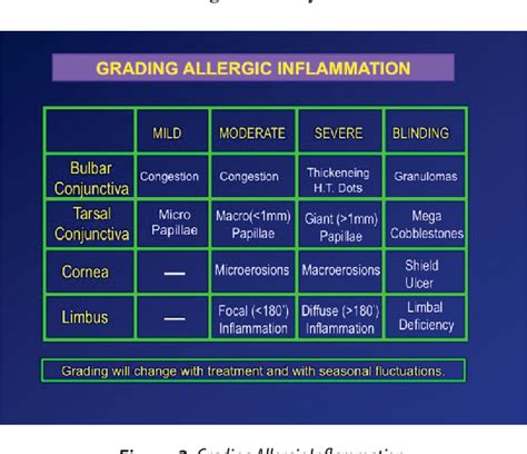 Figure 3 From Vernal Keratoconjunctivitis Grading System And Step Ladder Management Approach