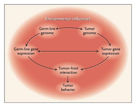 Pathophysiology Of Colorectal Cancer