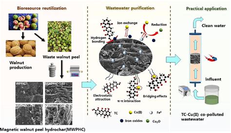 科学网—云师大能环学院徐锐课题组在生物技术科学top期刊《bioresource Technology》发表最新研究成果 蒋金和的博文