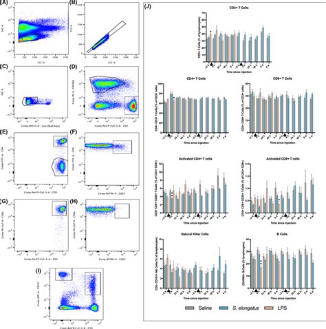 Flow Cytometry Gating And Lymphocyte Subpopulation Quantification The