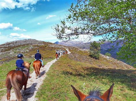 Passeio A Cavalo Perto De Mim