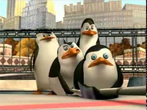 Funny Penguins Of Madagascar Memes - Photos Idea