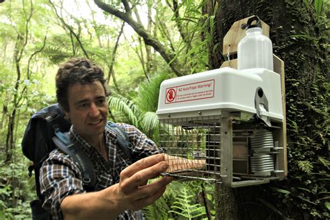 Nz Autotraps Automatic Self Resetting Possum And Rat Trap Off