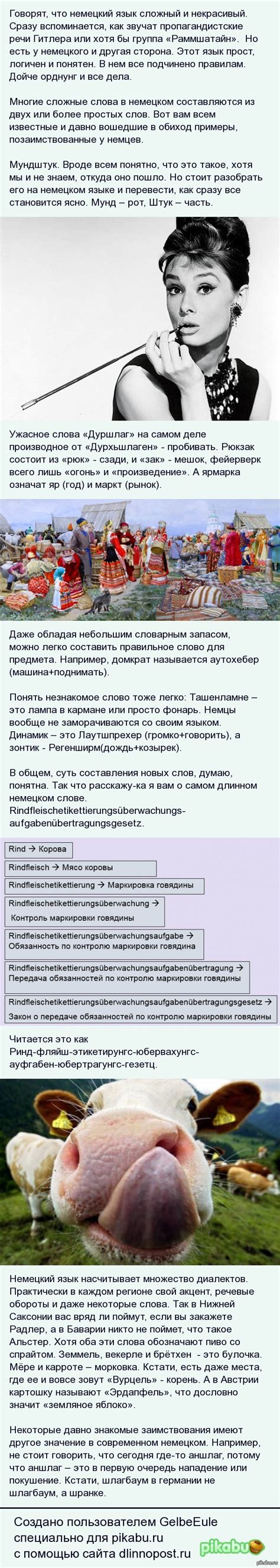 Немецкий язык | Пикабу