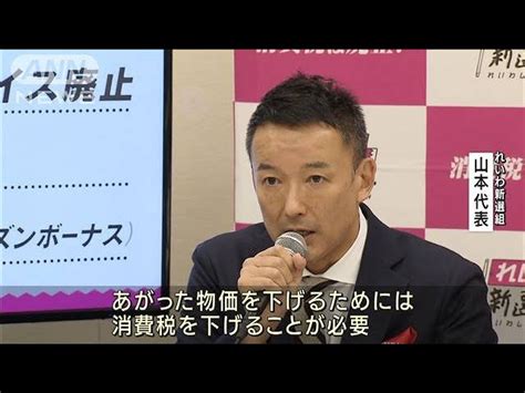 【演説】景気回復のための特効薬？れいわ山本代表の主張その減税案とは？ 時事ネタまとめクエスト～ジジクエ～