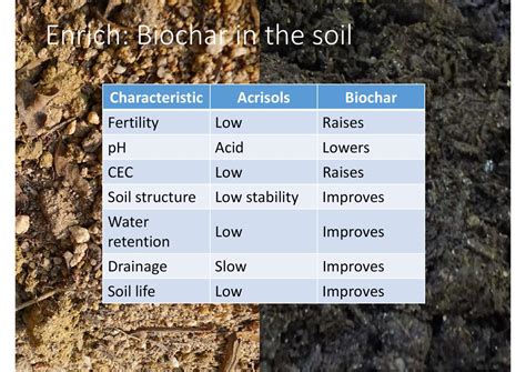 Biochar Basics