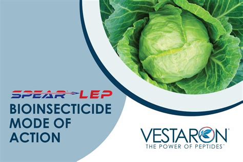 Pdf Bioinsecticide Mode Of Action Vestaron Dokumentips