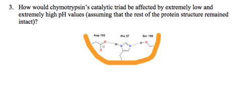 Solved 3 How Would Chymotrypsin S Catalytic Triad Be