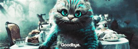 Cat Goodbye GIF - Find & Share on GIPHY