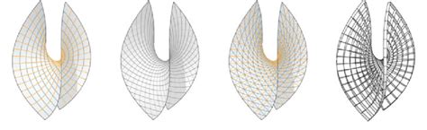 Enneper Surface With A Asymptotic Curves B Principle Curvature Lines C