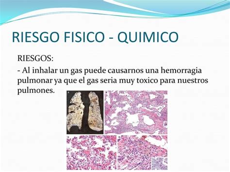 Riesgo Fisico Quimico PPT