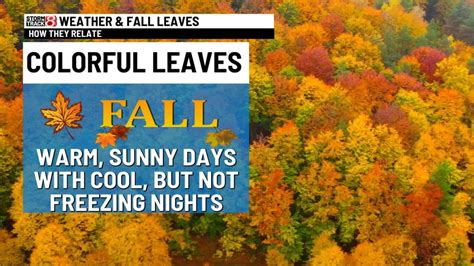 When to expect peak fall foliage in Indiana? - WISH-TV | Indianapolis ...