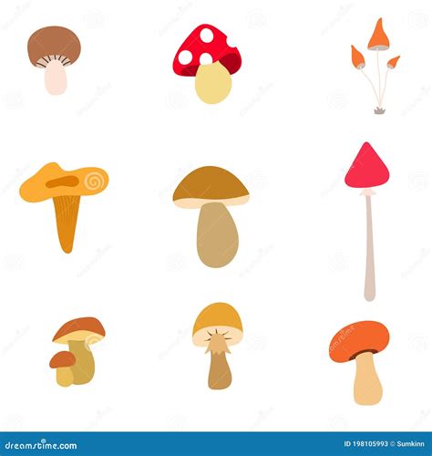 Poisonous And Edible Mushroom Cartoon Icons In Set Collection For