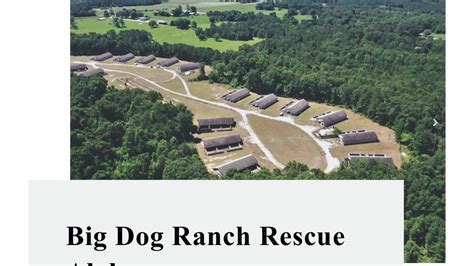 America’s largest no-kill animal rescue opening Macon County shelter | WRBL