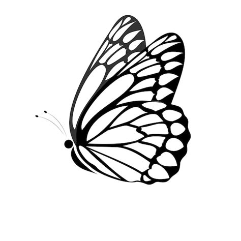 Premium Vector | A black and white butterfly with a black outline on a ...