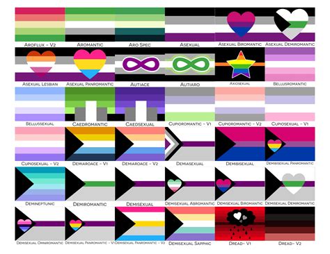 Choose Your Aroace Pride Wall Flags All Over Print 5 Sizes Etsy