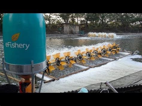 eFishery Automatic Fish Farm Smart Feeder - YouTube