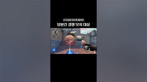 신규요원 데드록 플레이 및 후기 경쟁에서 보지말자 발로란트 데드록 신규요원 Youtube