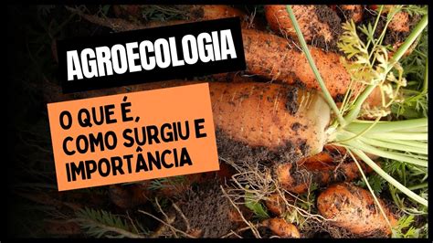 Como Surgiu A Agroecologia Librain