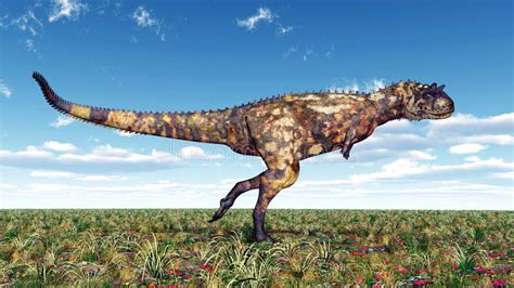 Carnotaurus Do Dinossauro Ilustração Stock Ilustração De épocas 48987507