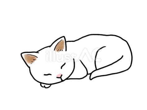 眠る猫 白猫イラスト No 24273586｜無料イラスト・フリー素材なら「イラストac」