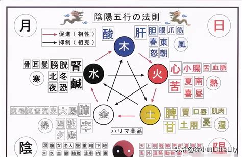 中醫五行、五臟、五腑、五官、五華、五味、五色、五情和養生 資訊咖