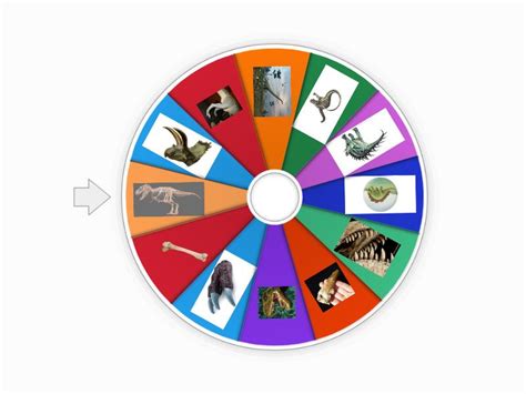 Dinosaurs Vocabulary Wheel Random Wheel