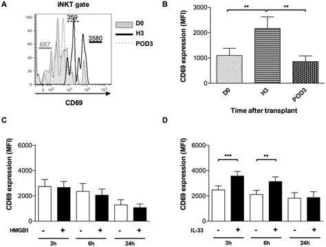 Early Activation Of Inkt Cells After Renal Iri A Potential Role For