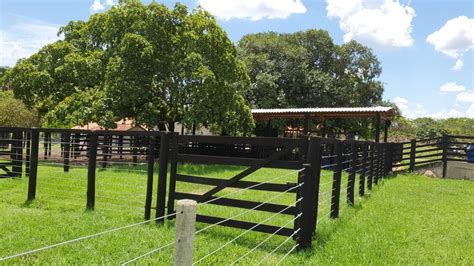 Fazenda A Venda Criar Gado Em Goias Alqueires Em Nova Am Rica Go