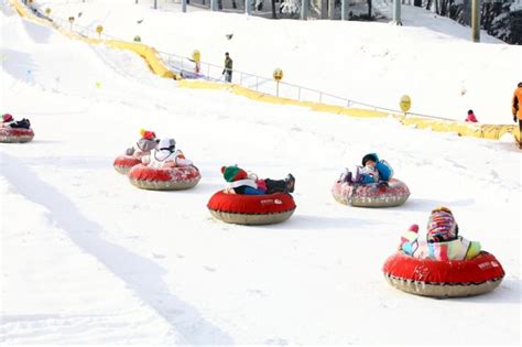 Winter in Korea: 9 Magical Experiences for Your Snowy Getaway