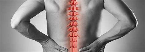 Learn About Spinal Cord Injuries New Mexico Orthopaedics