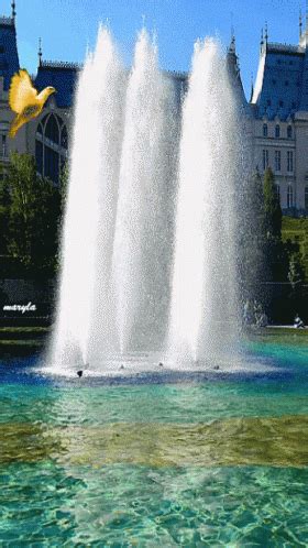 Fountain Fountain Discover Share GIFs