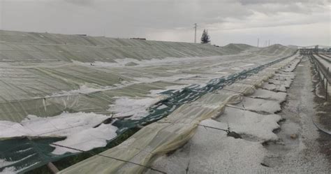 La catástrofe de la granizada de Sanlúcar de Barrameda invernaderos