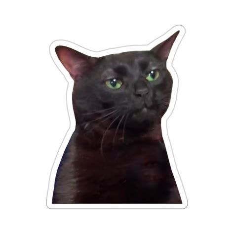 Zoning Out Black Cat Meme Zoning Out Black Cat Sticker Black Cat Meme Black Cat Zoning Out