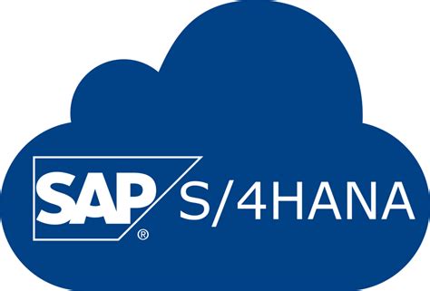 Sap S4hana Hochfrequenz