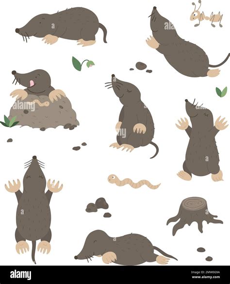 Vector Set Of Cartoon Style Flat Funny Moles In Different Poses With